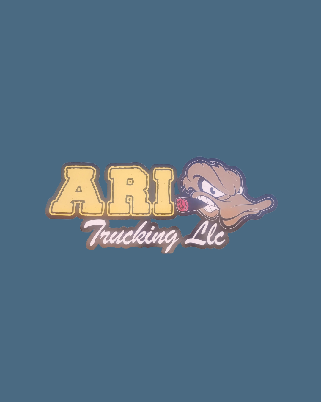 Ari Trucking LLC
